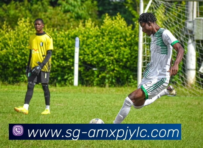 新葡京娱乐发展历程